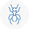 Ant Removals In Ilfracombe