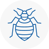 Bed Bug Extermination In Ilfracombe