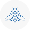 Bee Nest Removal Ilfracombe
