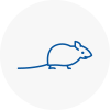 Mice Exterminators In Ilfracombe