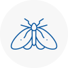 Moth Control Specialists In Ilfracombe