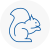 Ilfracombe Rodent Removals